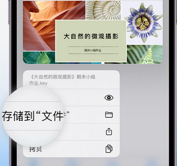 沐川apple维修中心分享iPhone文件应用中存储和找到下载文件