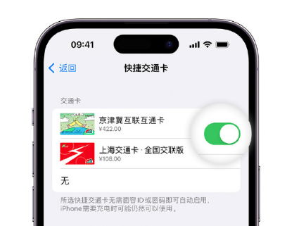 沐川apple维修点分享iPhone上更换Apple Pay快捷交通卡手绘卡面 