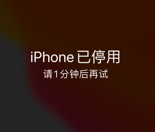 沐川苹果手机维修分享:iPhone 显示“不可用”或“已停用”怎么办？还能保留数据吗？ 