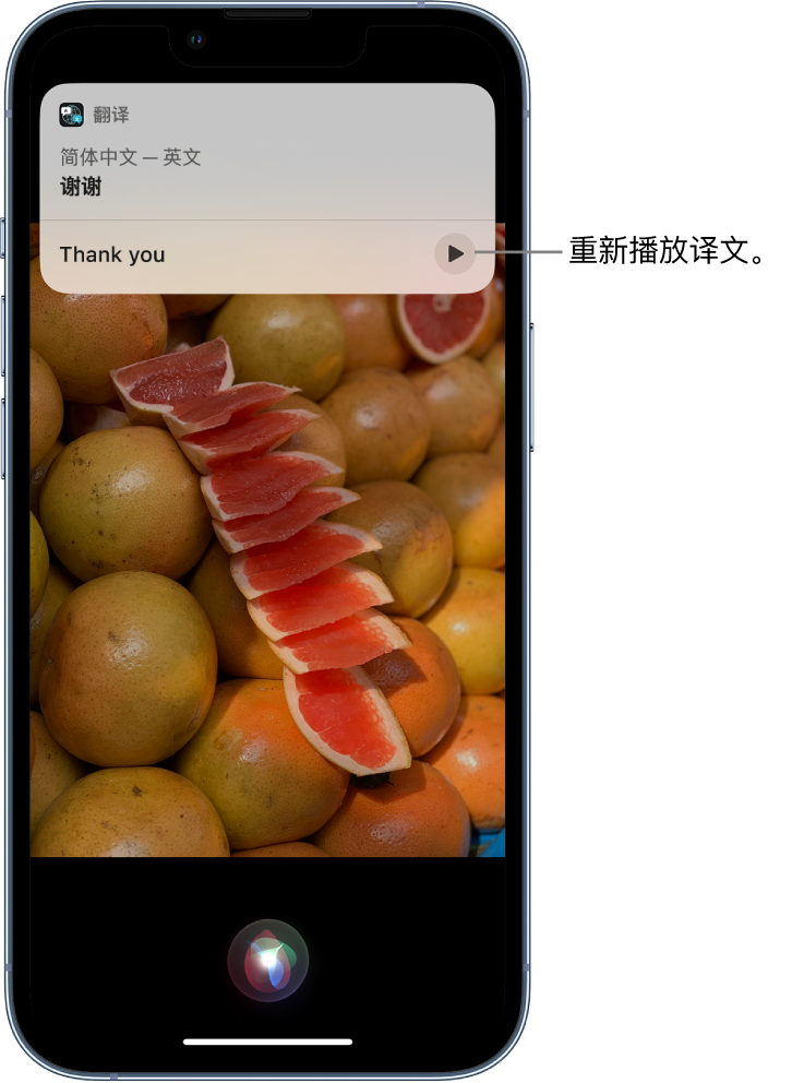 沐川苹果14维修分享 iPhone 14 机型中使用 Siri：了解 Siri 能帮你做什么 