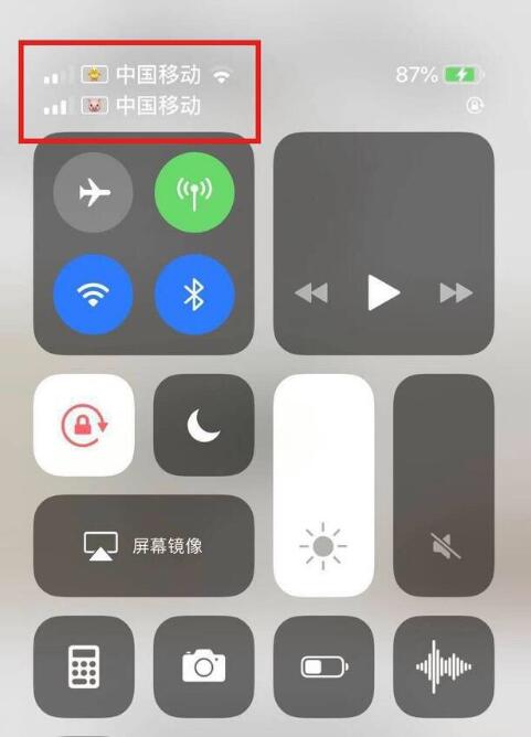 沐川苹果手机维修分享为 iPhone 12 双卡设置标签 